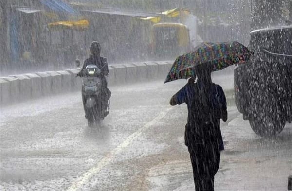Haryana Weather Update हरियाणा में फिर लौटी बारिश ! इन जिलों में अलर्ट जारी, यहां जानें अपने शहर का हाल