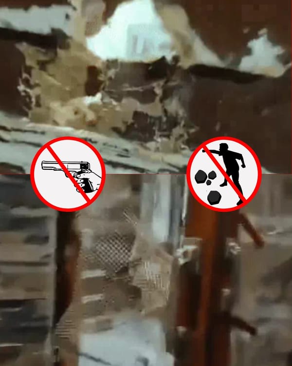 हिसार के पड़ाव चौक पर फायरिंग यूनिवर्सिटी विवाद  बदला लेने पहुंचे युवक, मची दहशत!